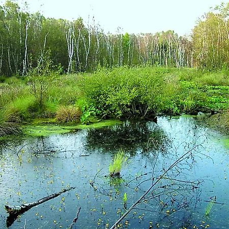 Kurhaus Pivittskrug 3* Hille