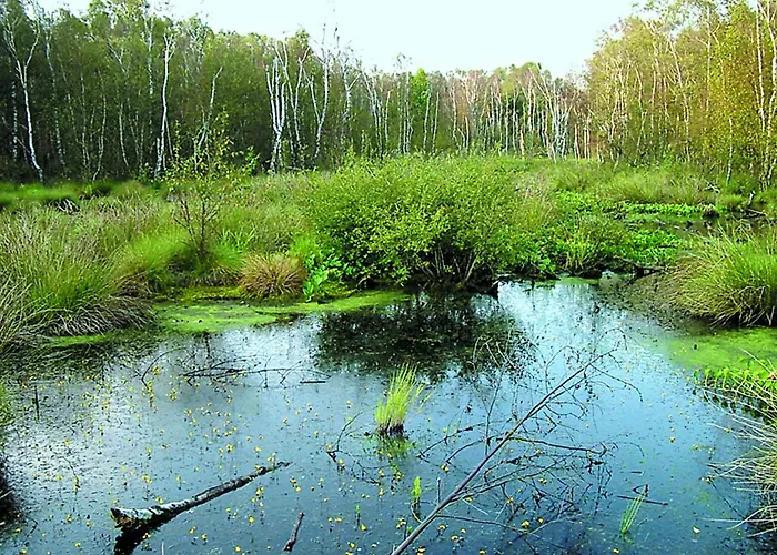 Kurhaus Pivittskrug 3* Hille