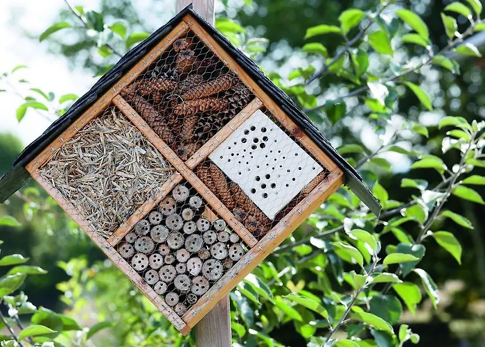 Kurhaus Pivittskrug Hille